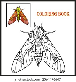 elephant hawk moth for coloring book (Deilephila elpenor)