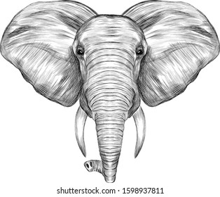 elephant head graphics black and white