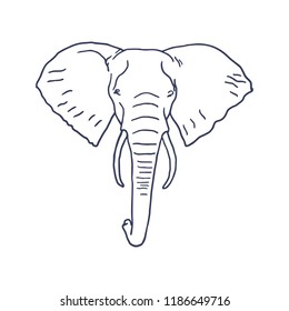 Elephant Head Hand Drawn on white background. Vector illustration