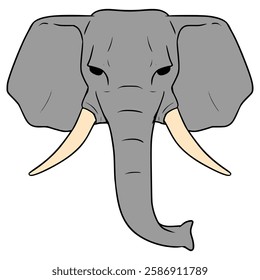 elephant head illustration hand drawn isolated vector