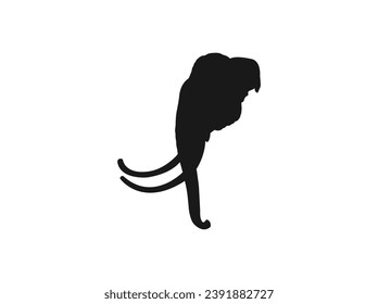 Elephant head logo,Vector elephant Icon for your design. Elephant Symbol Logo.Vector illustration of a black silhouette elephant. icon isolated on a white background, Vector, Illustration, eps 10 .