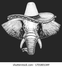 Elephant head. Sombrero is traditional mexican hat. Mexico. Portrait of wild animal.
