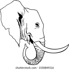 Elephant Head Vector Drawing Illustration