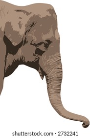 An elephant head in vector format