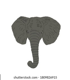 Elephant head vector illustration isolated on white background.
Elephant male, African animal, safari attraction.