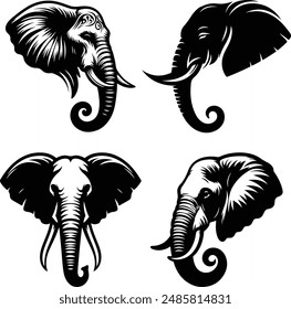 Elephant head vector and illustrator