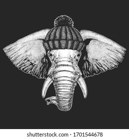 Elephant head. Winter knitted hat. Portrait of wild animal.