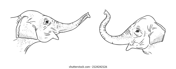 Elephant heads isolated on white background. Banner with realistic elephants. Sketch vector illustration