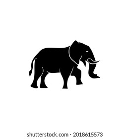 elephant icon design illustration template