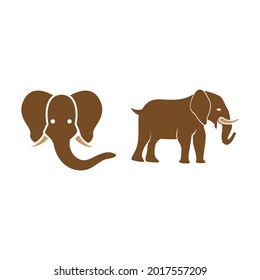 Elephant icon design set bundle template isolated
