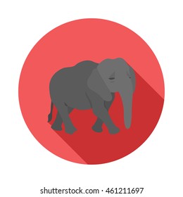 Elephant icon in flat style on a white background