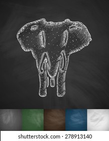 elephant icon. Hand drawn vector illustration. Chalkboard Design