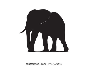 elephant icon illustration isolated vector sign symbol