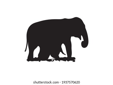 Elefantensymbol-Illustration einzeln auf Vektorsymbol