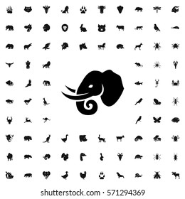 elephant icon illustration isolated vector sign symbol