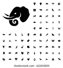 Elephant icon illustration isolated vector sign symbol. animals icons vector set. on white background