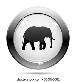 Elephant icon. Internet button on white background. EPS10 vector.
