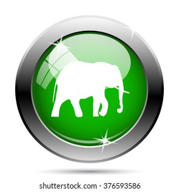 Elephant icon. Internet button on white background. EPS10 vector.