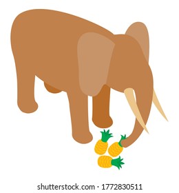 Elephant icon. Isometric illustration of elephant vector icon for web