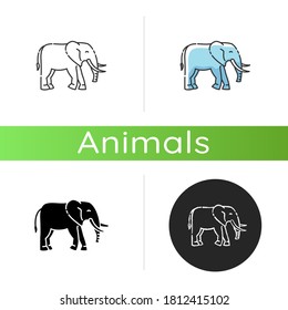 Elephant icon. Linear black and RGB color styles. Large land animal, exotic wildlife. African savanna, Indian fauna. Huge mammal with long trunk and tusks isolated isolated vector illustrations