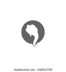 Elephant icon logo design illustration template