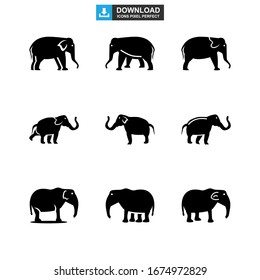 elephant icon or logo isolated sign symbol vector illustration - Collection of high quality black style vector icons
