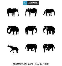 elephant icon or logo isolated sign symbol vector illustration - Collection of high quality black style vector icons
