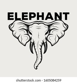 elephant icon logo vector design