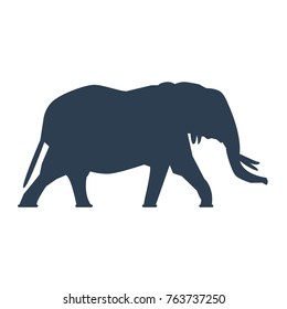 Elephant icon on white background. Vector illustration