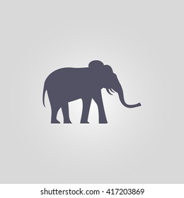 elephant icon. safari animal