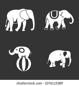 Elephant icon set vector white isolated on grey background 