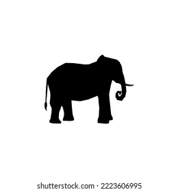 elephant icon silhouette style design. elephant vector illustration. isolated on white background.