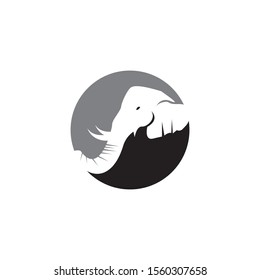 Elephant icon and symbol vector illustration