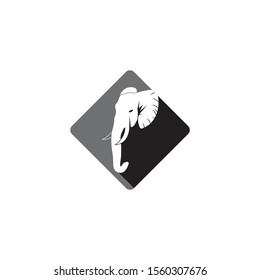 Elephant icon and symbol vector illustration