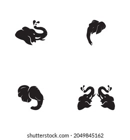 Elephant icon and symbol vector template illustration
