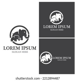 Elephant icon and symbol vector template illustration