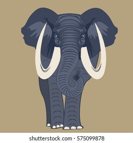 elephant icon t shirt - vector