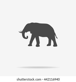 Elephant icon. Vector concept illustration for design.