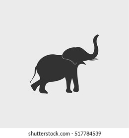 elephant icon, vector design