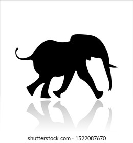Elephant icon vector design. Wildlife icons