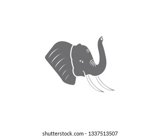Elephant icon vector illustration