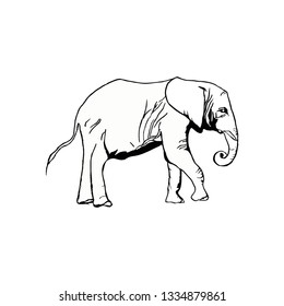 Elephant icon. Vector Illustration. EPS10