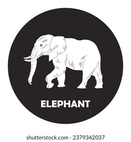 Elephant icon vector illustration symbol design