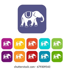 Elephant icons set vector illustration in flat style In colors red, blue, green and other