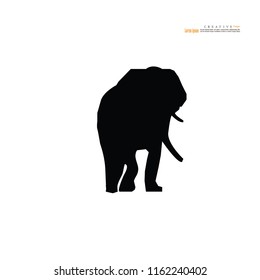 Elephant icon.vector illustration.