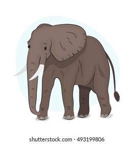 Elephant Illustration