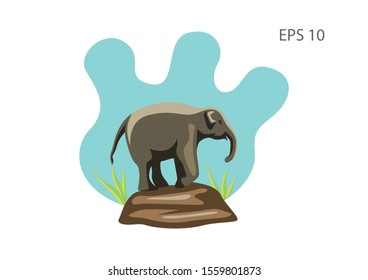 Elephant illustration for children's books. vector.