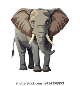 Elephant illustration on White Background