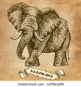 11,204 Vintage drawing elephant Images, Stock Photos & Vectors ...