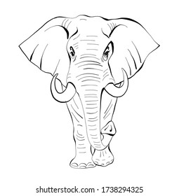 elephant illustration vector character engraving